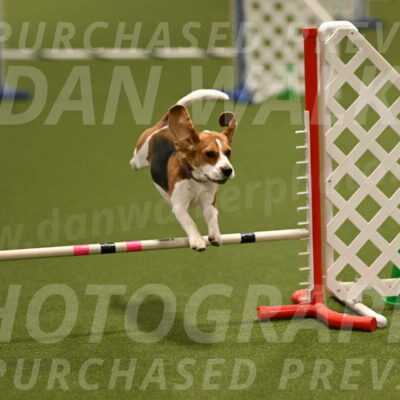 Tobie-Heather-Chambers-06019