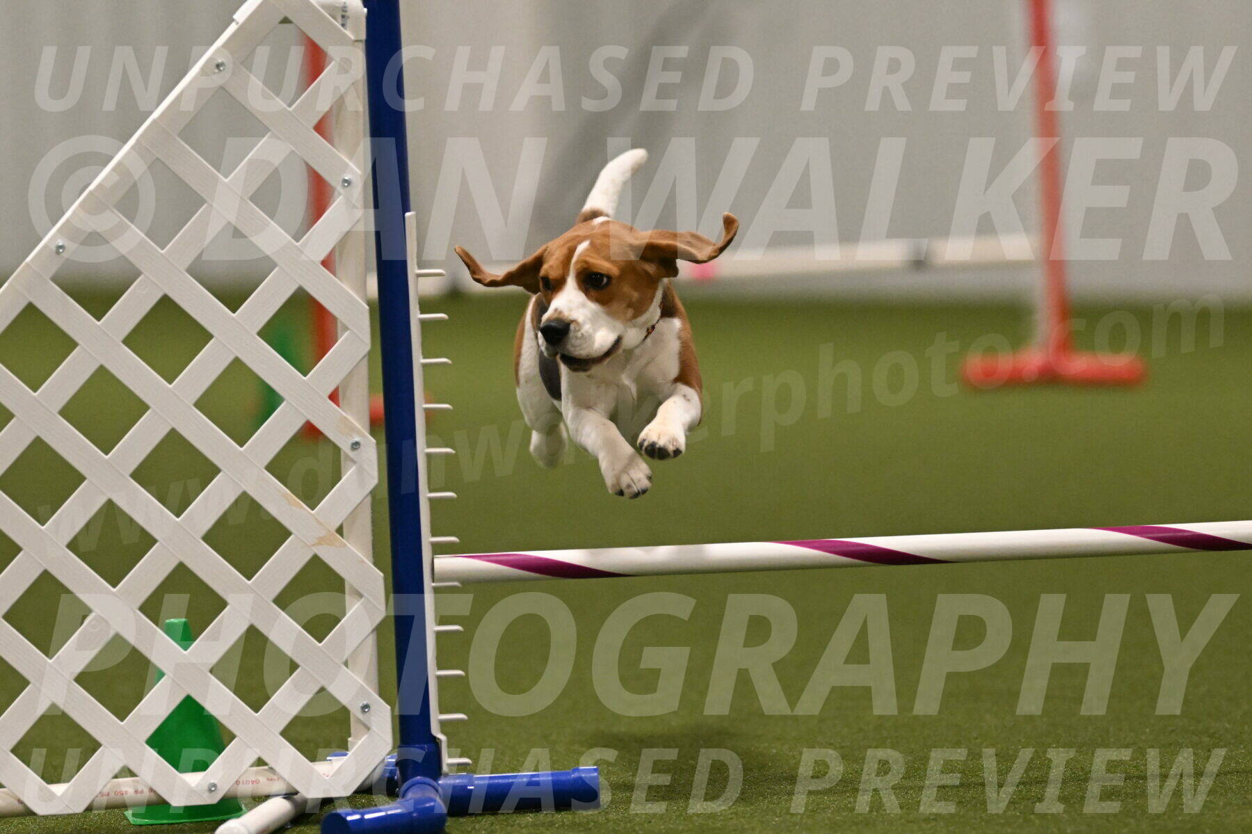 Tobie-Heather-Chambers-06090