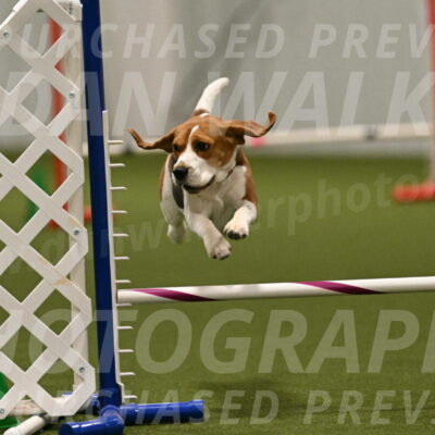 Tobie-Heather-Chambers-06090