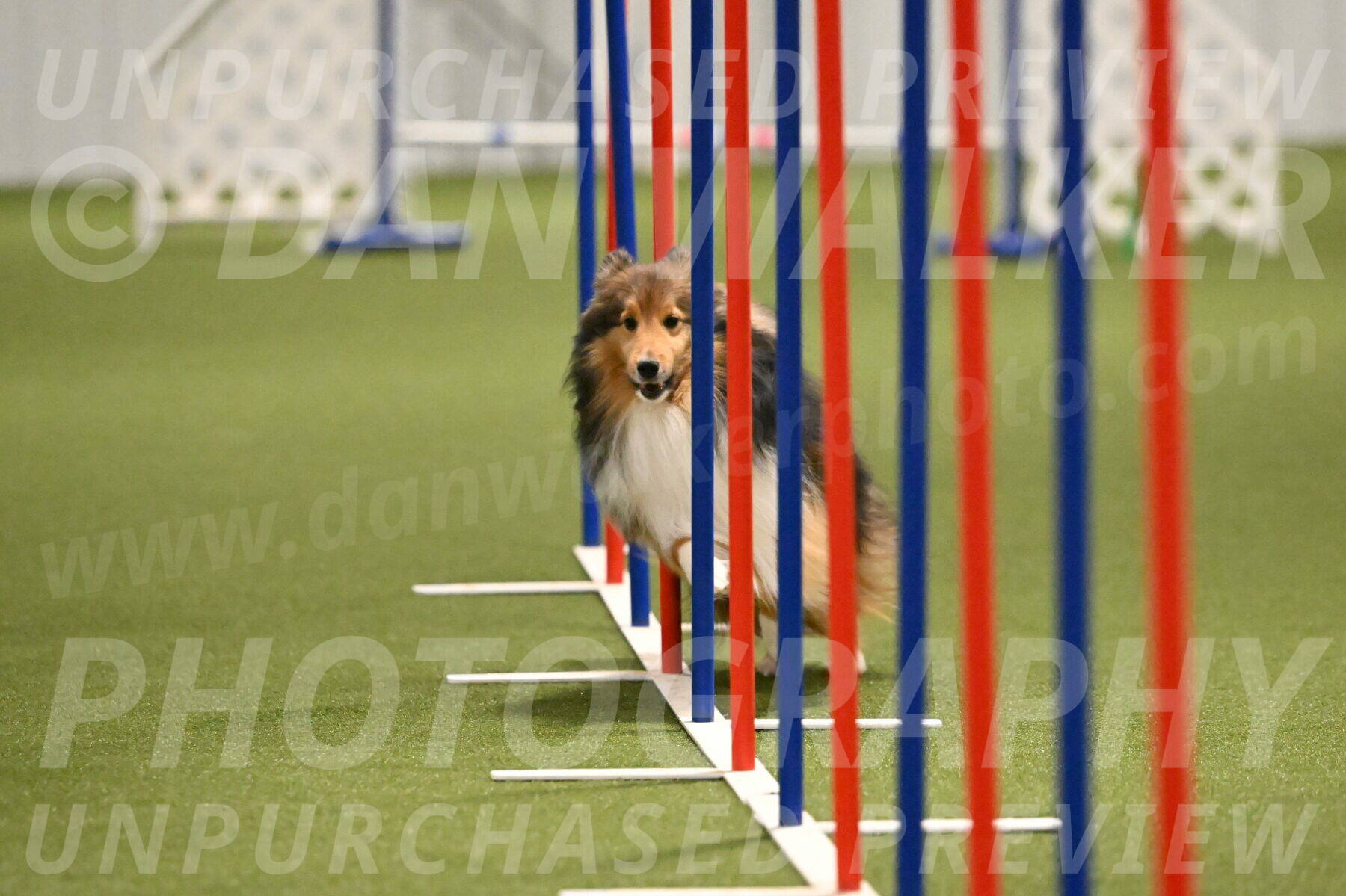 Tristann-Anne-Ujczo-11988