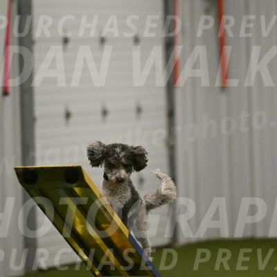 Wayland-Kayla-Mickey-01745