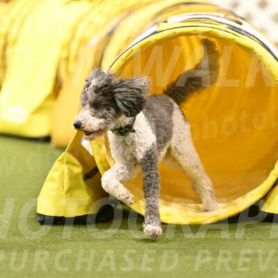 Wayland-Kayla-Mickey-01784