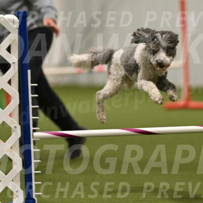 Wayland-Kayla-Mickey-01785