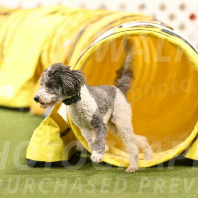 Wayland-Kayla-Mickey-01790