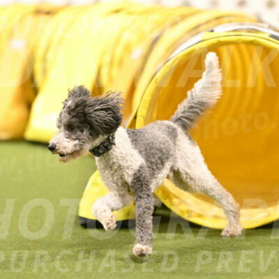 Wayland-Kayla-Mickey-01791