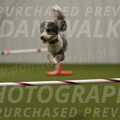 Wayland-Kayla-Mickey-01794
