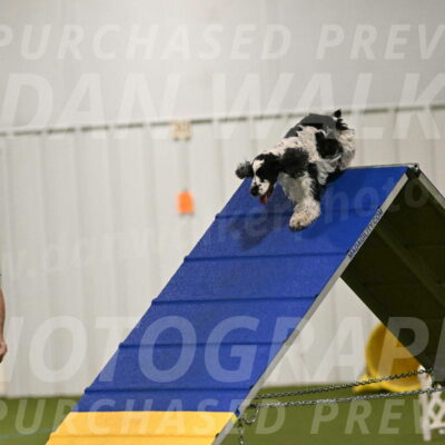 Winston-David-and-Christy-Thorley-02369