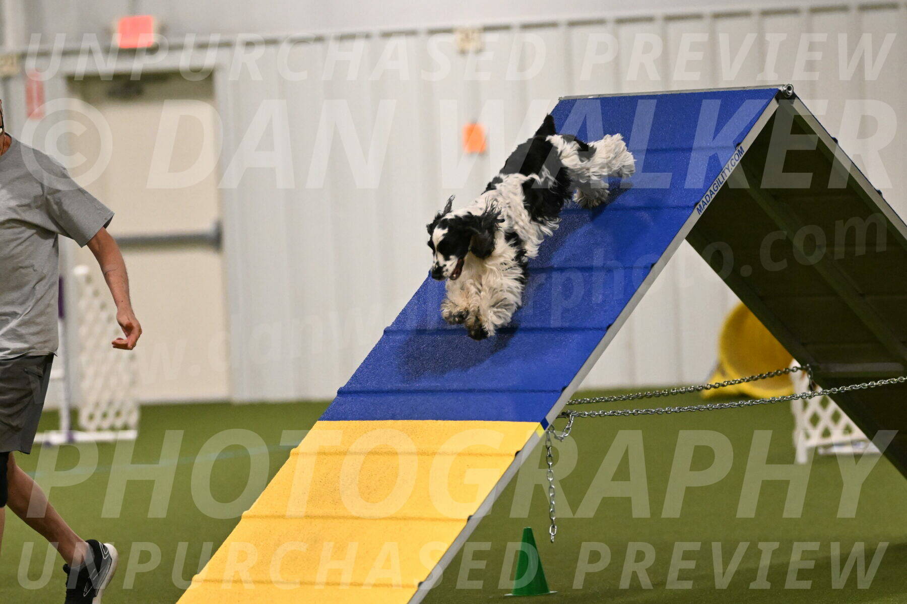 Winston-David-and-Christy-Thorley-02370