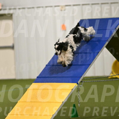 Winston-David-and-Christy-Thorley-02370