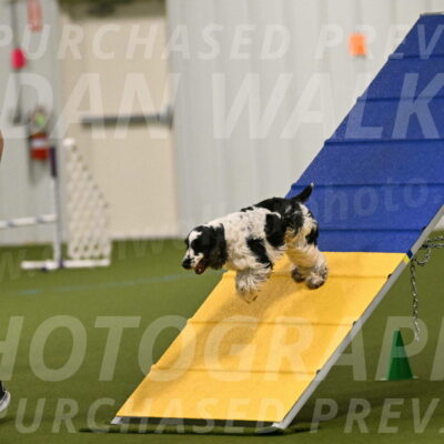 Winston-David-and-Christy-Thorley-02371