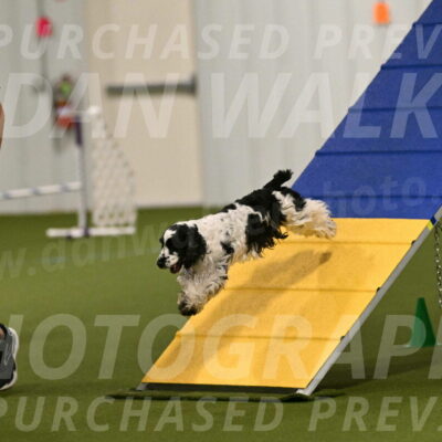 Winston-David-and-Christy-Thorley-02372