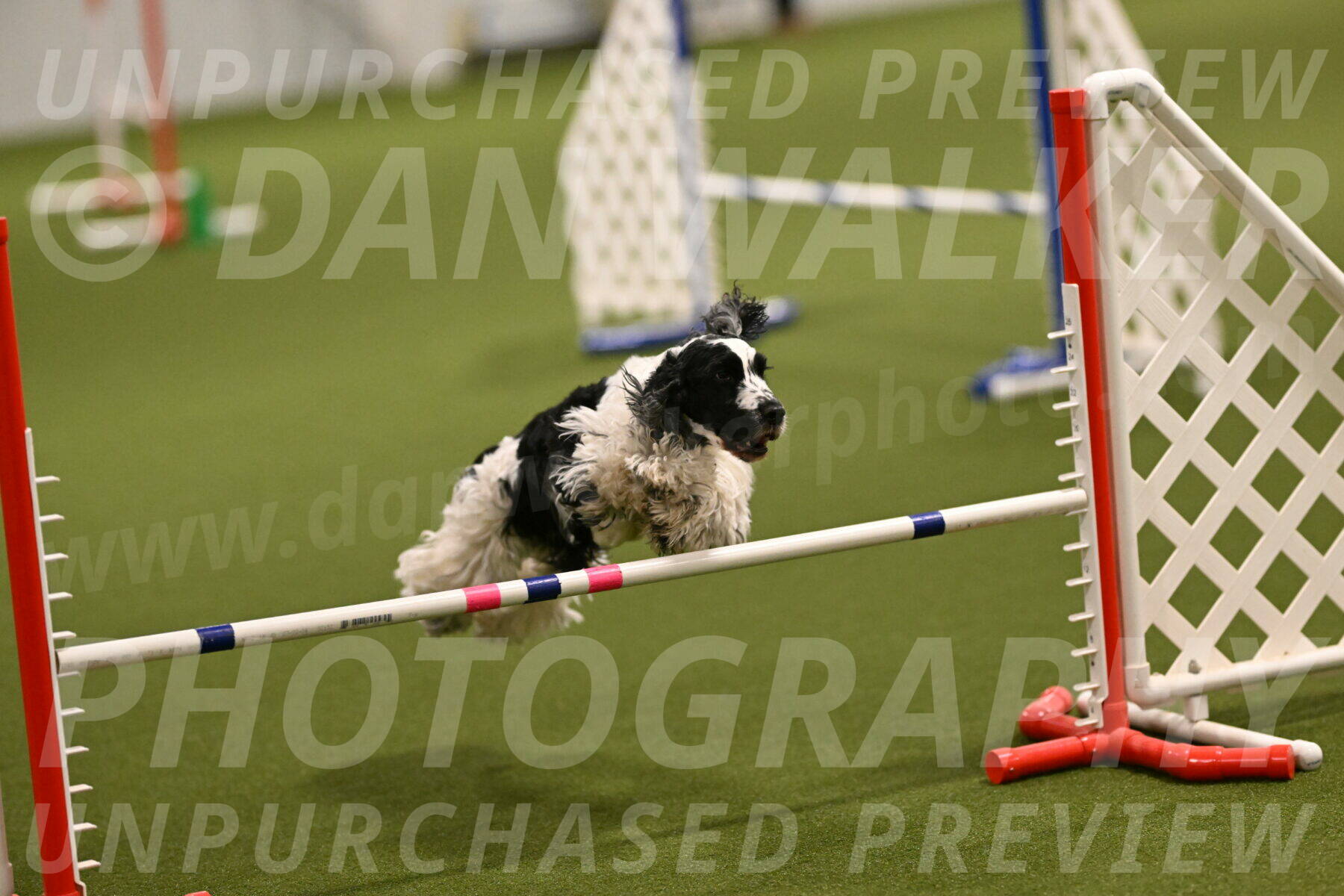 Winston-David-and-Christy-Thorley-02373