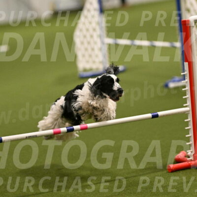 Winston-David-and-Christy-Thorley-02373