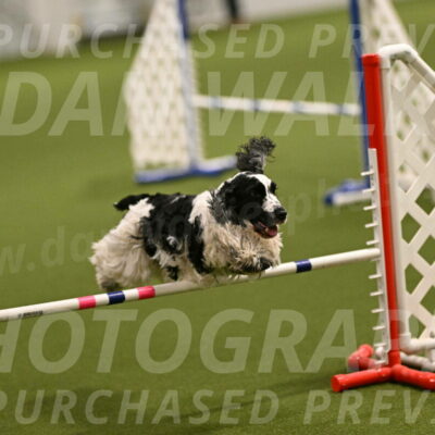 Winston-David-and-Christy-Thorley-02374