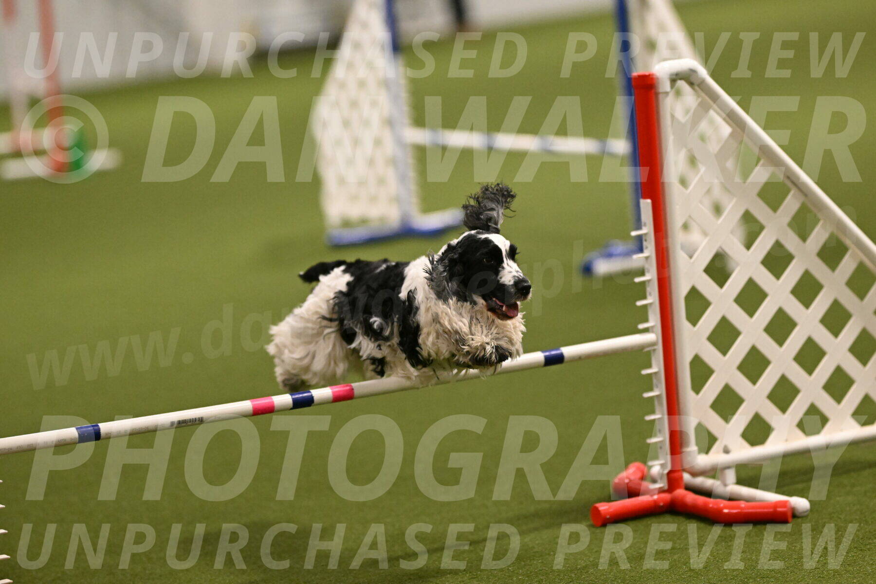 Winston-David-and-Christy-Thorley-02374