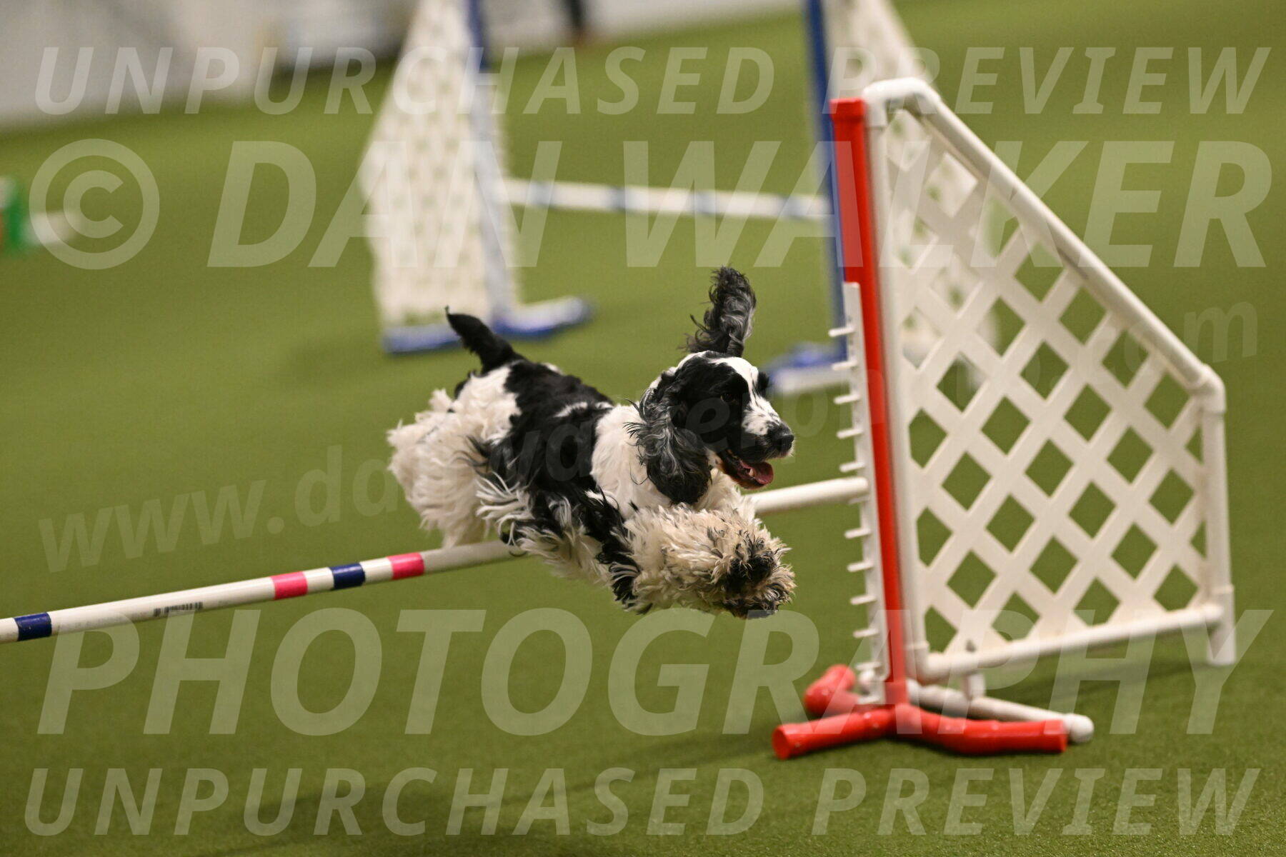 Winston-David-and-Christy-Thorley-02375