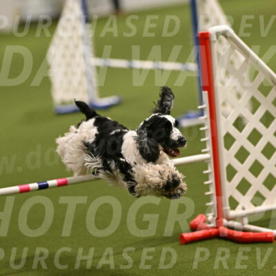 Winston-David-and-Christy-Thorley-02375