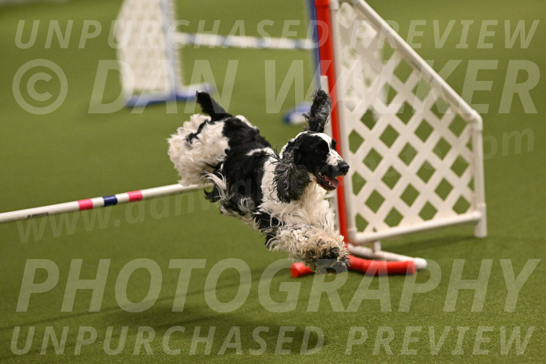 Winston-David-and-Christy-Thorley-02376