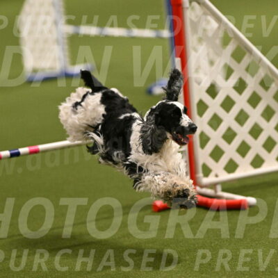 Winston-David-and-Christy-Thorley-02376