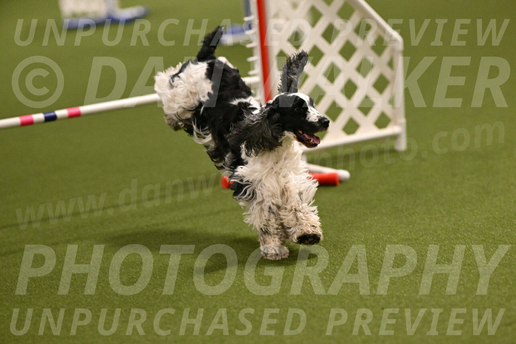 Winston-David-and-Christy-Thorley-02377