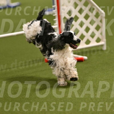 Winston-David-and-Christy-Thorley-02377