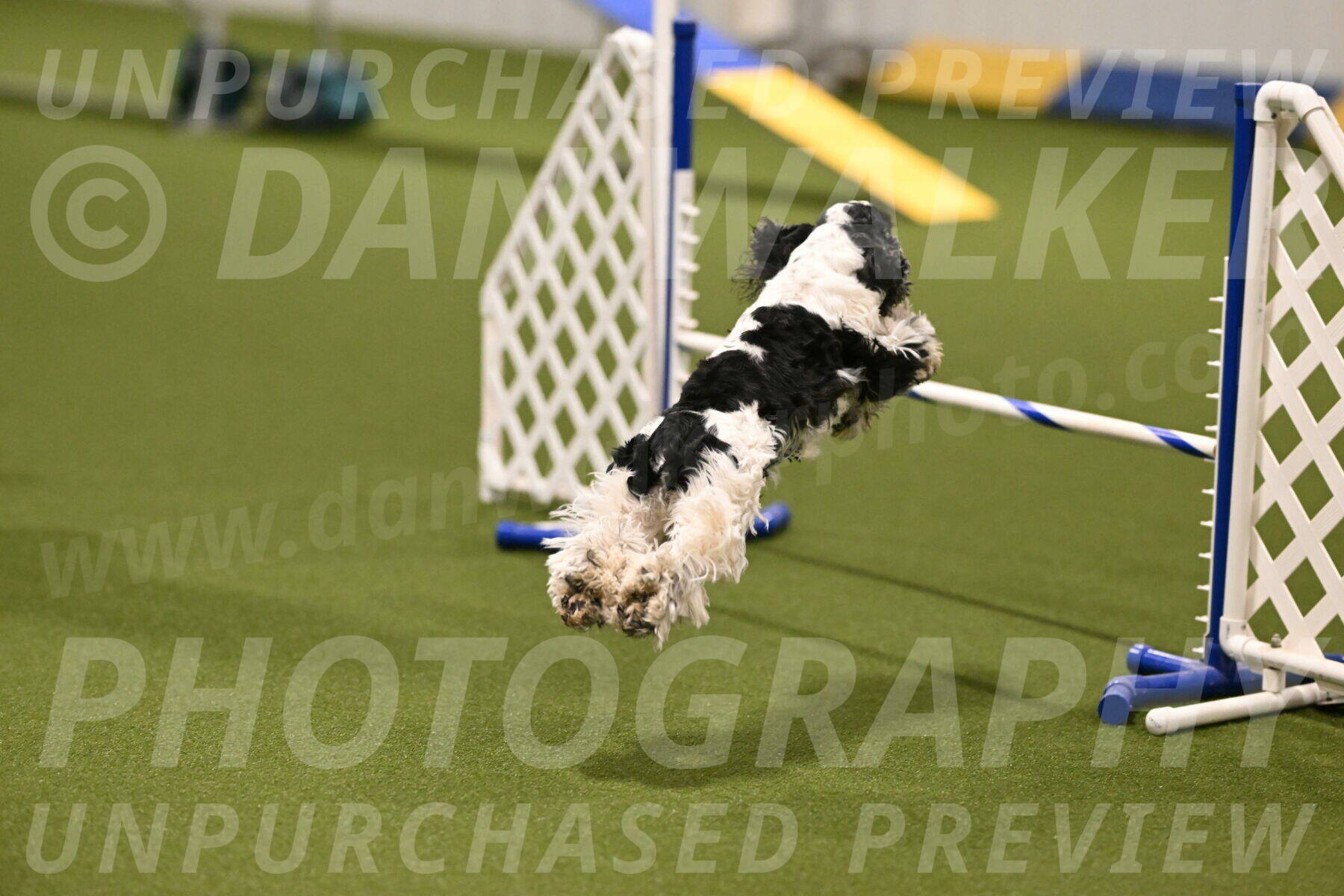 Winston-David-and-Christy-Thorley-02378