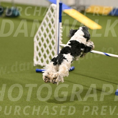 Winston-David-and-Christy-Thorley-02378