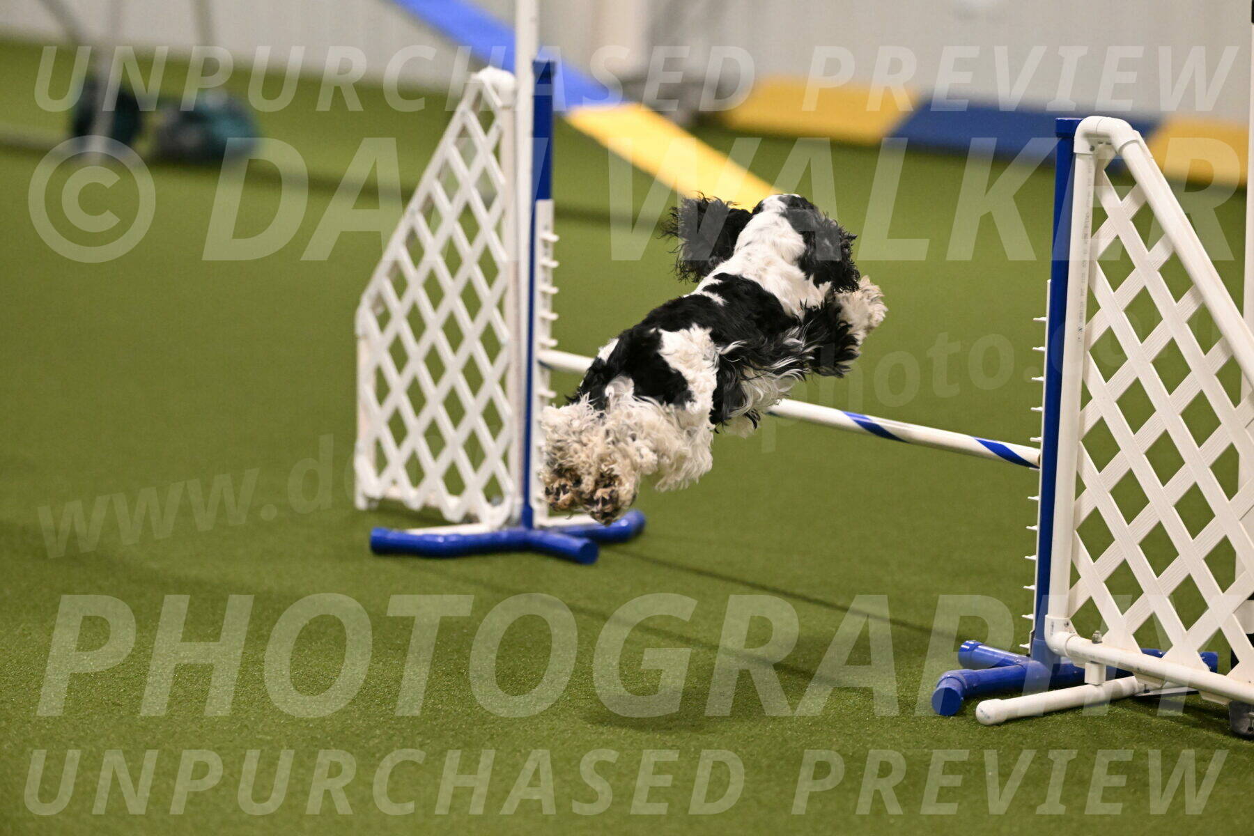 Winston-David-and-Christy-Thorley-02379