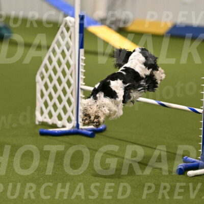 Winston-David-and-Christy-Thorley-02379