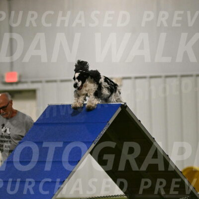 Winston-David-and-Christy-Thorley-02380