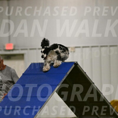 Winston-David-and-Christy-Thorley-02381