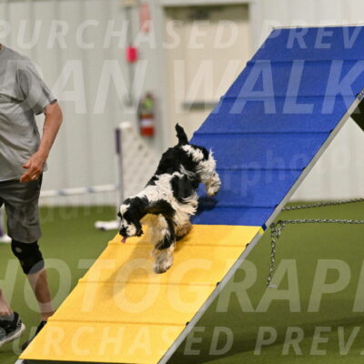 Winston-David-and-Christy-Thorley-02382