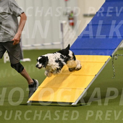 Winston-David-and-Christy-Thorley-02383