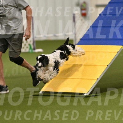 Winston-David-and-Christy-Thorley-02384