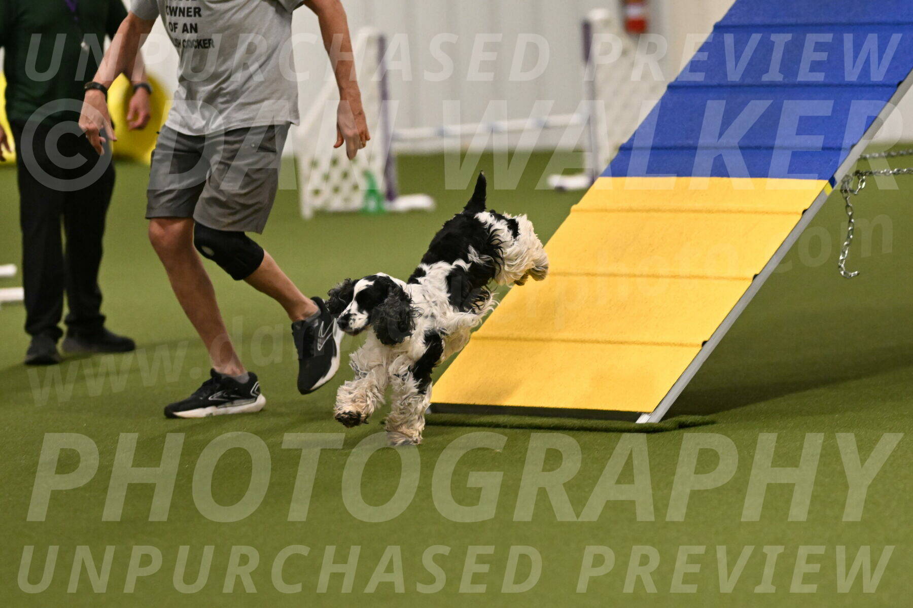 Winston-David-and-Christy-Thorley-02385