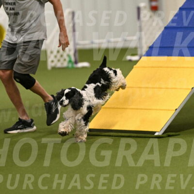 Winston-David-and-Christy-Thorley-02385