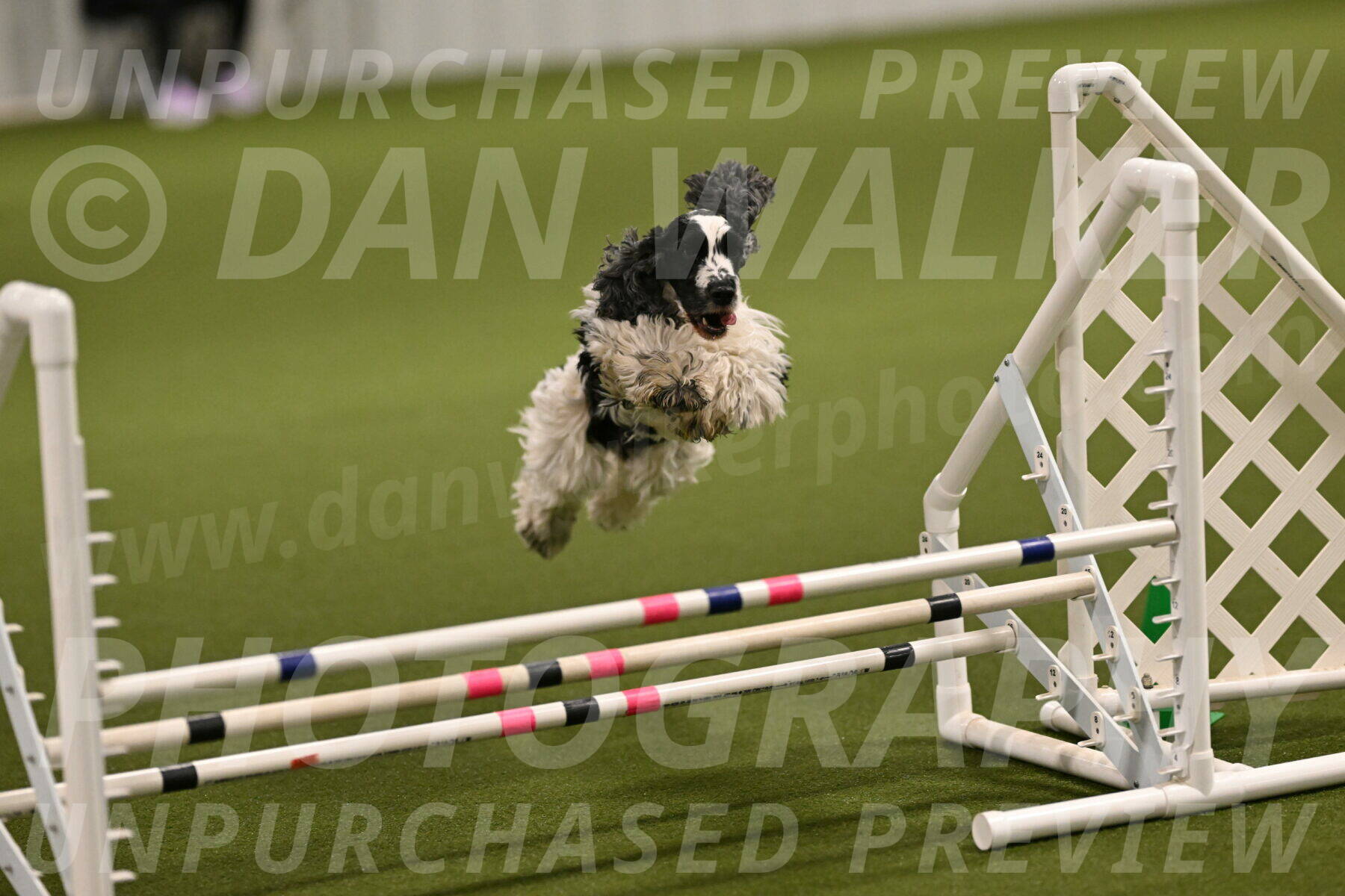 Winston-David-and-Christy-Thorley-02386