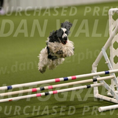 Winston-David-and-Christy-Thorley-02386