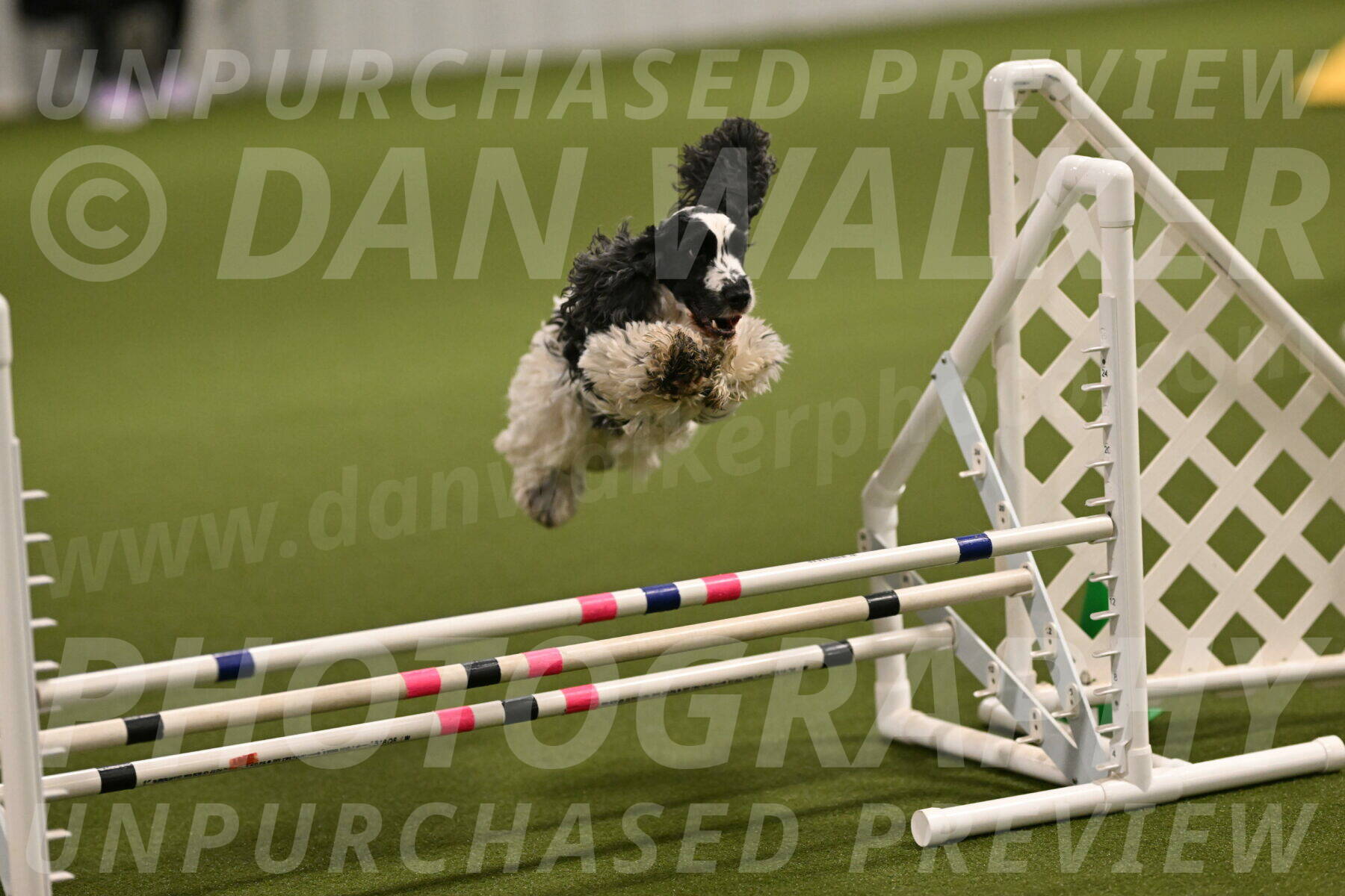 Winston-David-and-Christy-Thorley-02387