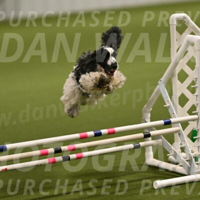 Winston-David-and-Christy-Thorley-02387