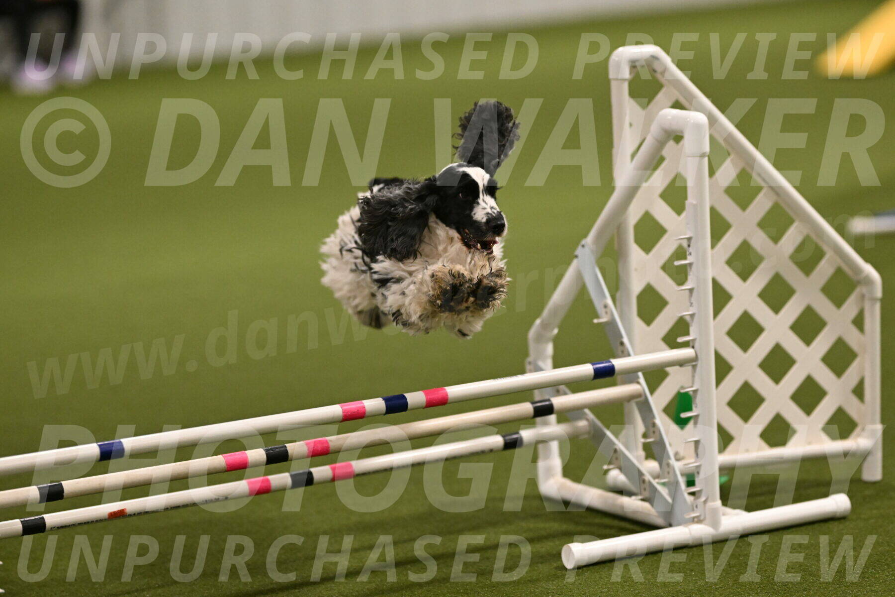 Winston-David-and-Christy-Thorley-02388