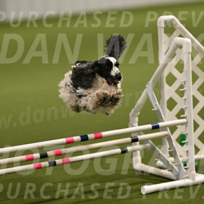 Winston-David-and-Christy-Thorley-02388