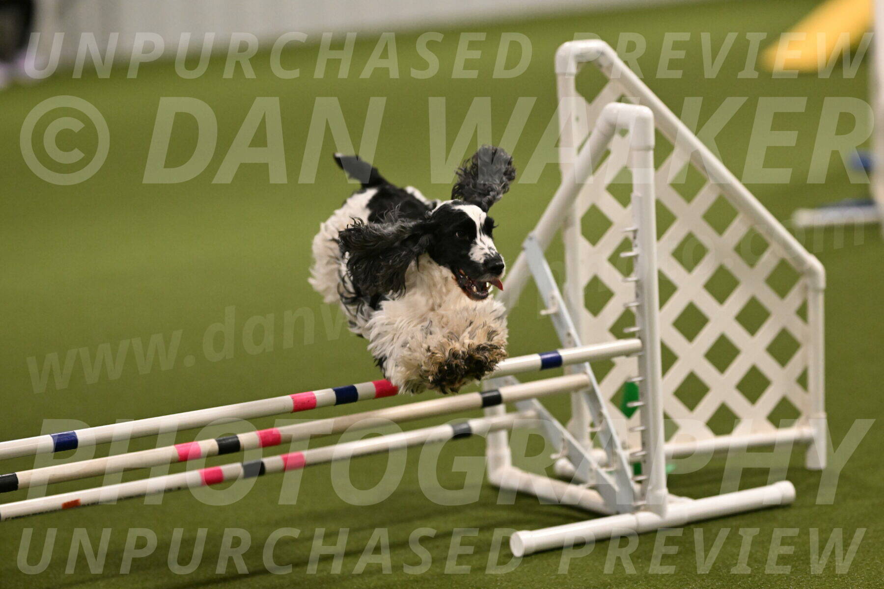 Winston-David-and-Christy-Thorley-02389