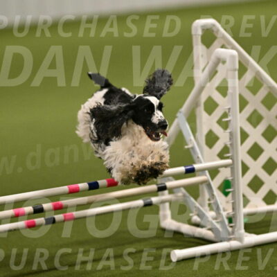 Winston-David-and-Christy-Thorley-02389