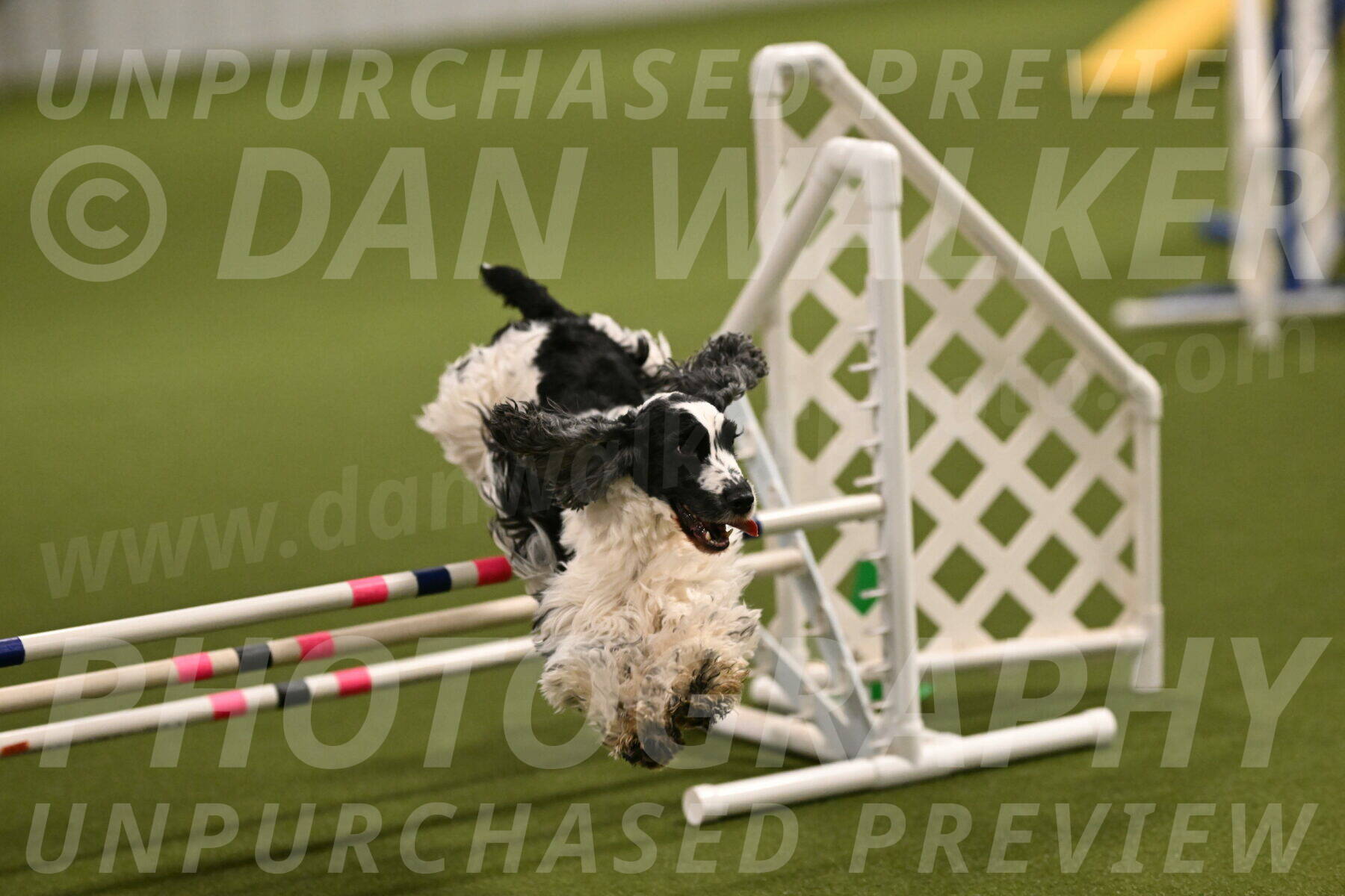 Winston-David-and-Christy-Thorley-02390