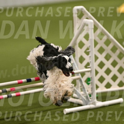 Winston-David-and-Christy-Thorley-02390