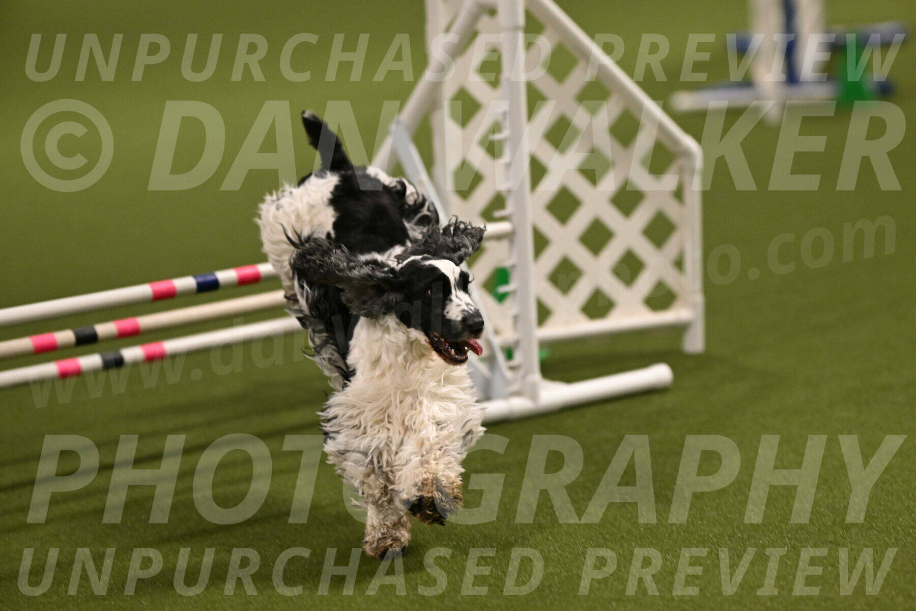 Winston-David-and-Christy-Thorley-02391