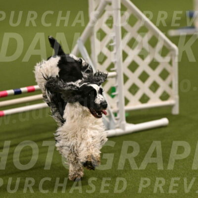 Winston-David-and-Christy-Thorley-02391