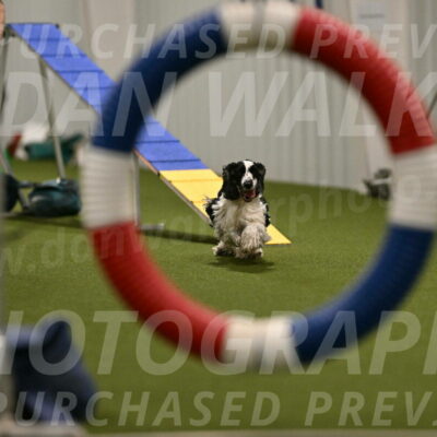 Winston-David-and-Christy-Thorley-02392