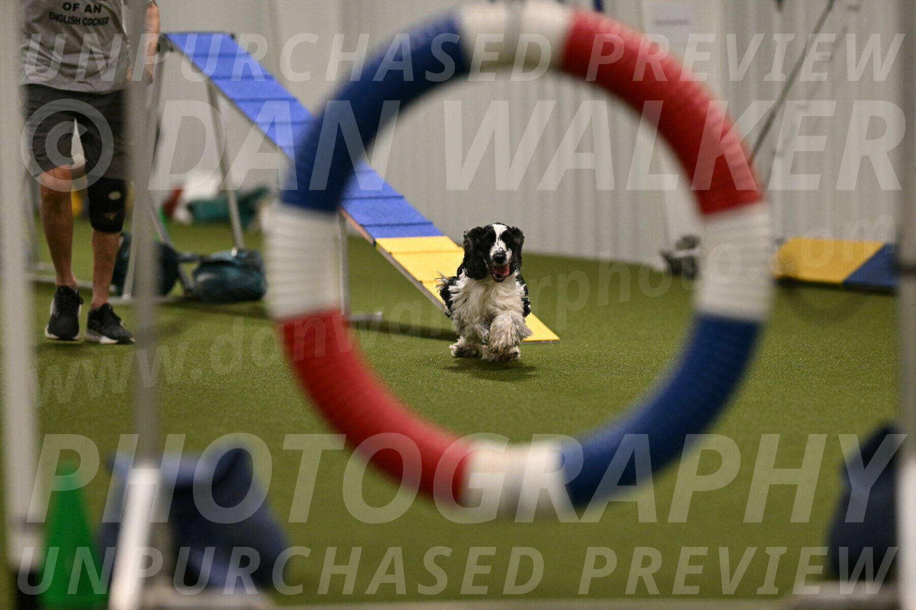 Winston-David-and-Christy-Thorley-02392